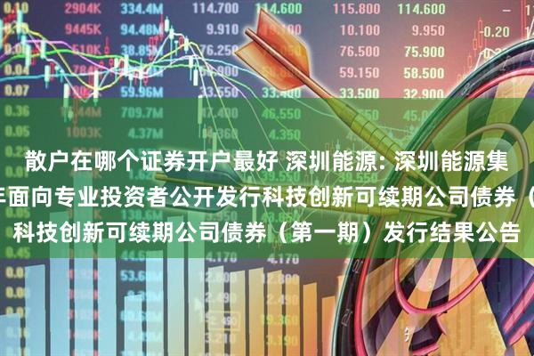散户在哪个证券开户最好 深圳能源: 深圳能源集团股份有限公司2025年面向专业投资者公开发行科技创新可续期公司债券（第一期）发行结果公告