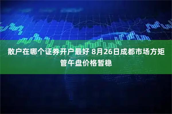 散户在哪个证券开户最好 8月26日成都市场方矩管午盘价格暂稳
